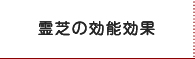 霊芝の効能効果